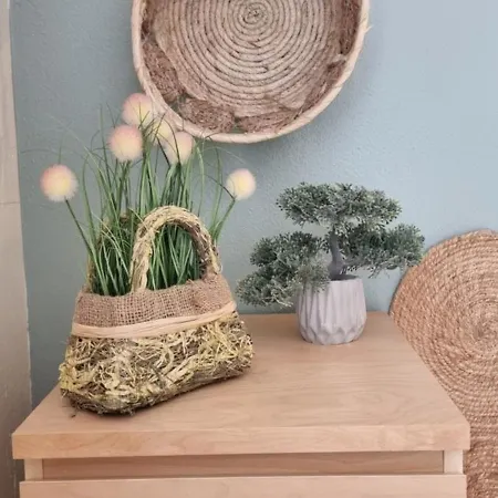 Casa Dos Cedros 기아