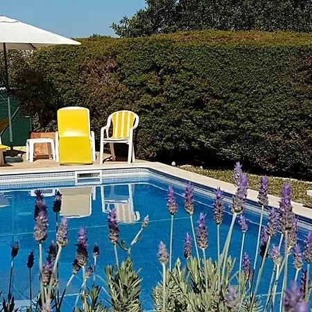 Casa Dos Cedros Villa Guia (Faro)